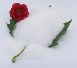 Ekika ki kya polyacrylamide ekisinga obulungi mu kuyonja amazzi ag'omusaayi ag'okunaaba emmotoka?