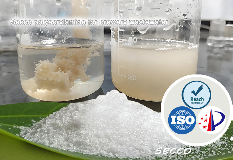 Okulonda n'Obukugu bwa Polyacrylamide (PAM) mu Kujjanjaba Amazzi ag'Ebisenge mu Makolero