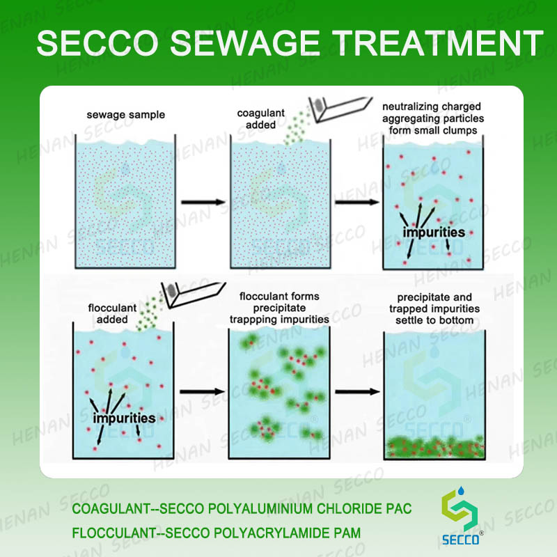 Omuntu alina otya okukola ng'akozesa polyacrylamide ne polyaluminium chloride mu kussaasaanya amazzi ag'omusaayi n'okulongoosa okusaasaanya?